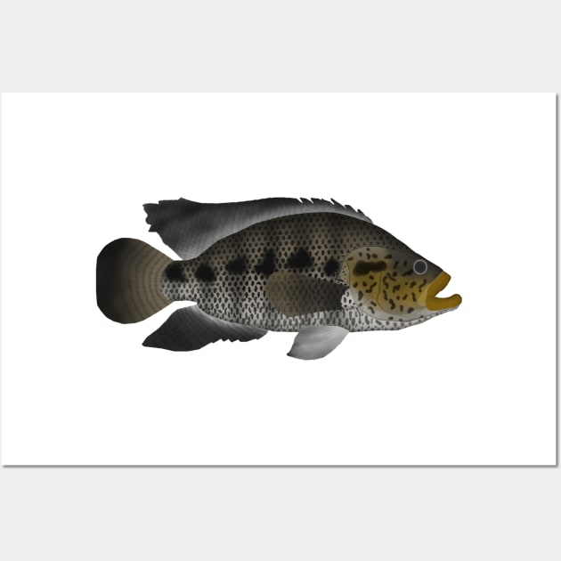 Jaguar Cichlid Wall Art by FishFolkArt